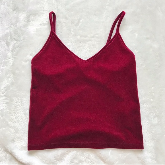 Forever 21 Tops - Forever 21 red velvet v neck cropped tank top